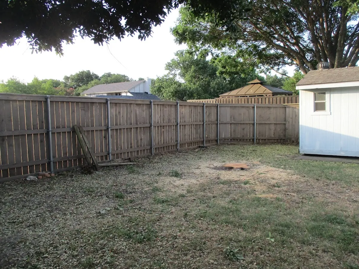 Cleared yard after professional tree removal in Cromwell